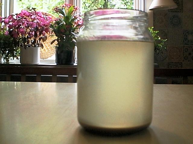 coconut-oil-2001-08-17.JPG (44791 bytes)